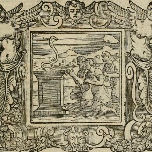 andrea alciati detail