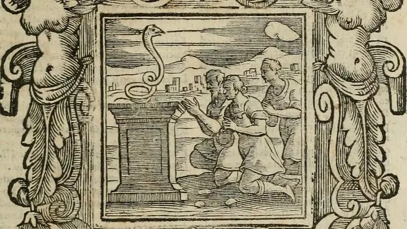 andrea alciati detail